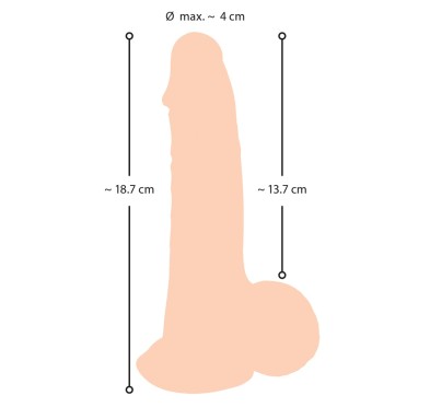 Realistyczny żylasty penis z przyssawką 19 cm